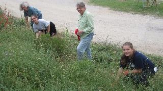 Park Clean-up April 2015