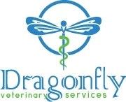 Dragonfly logo